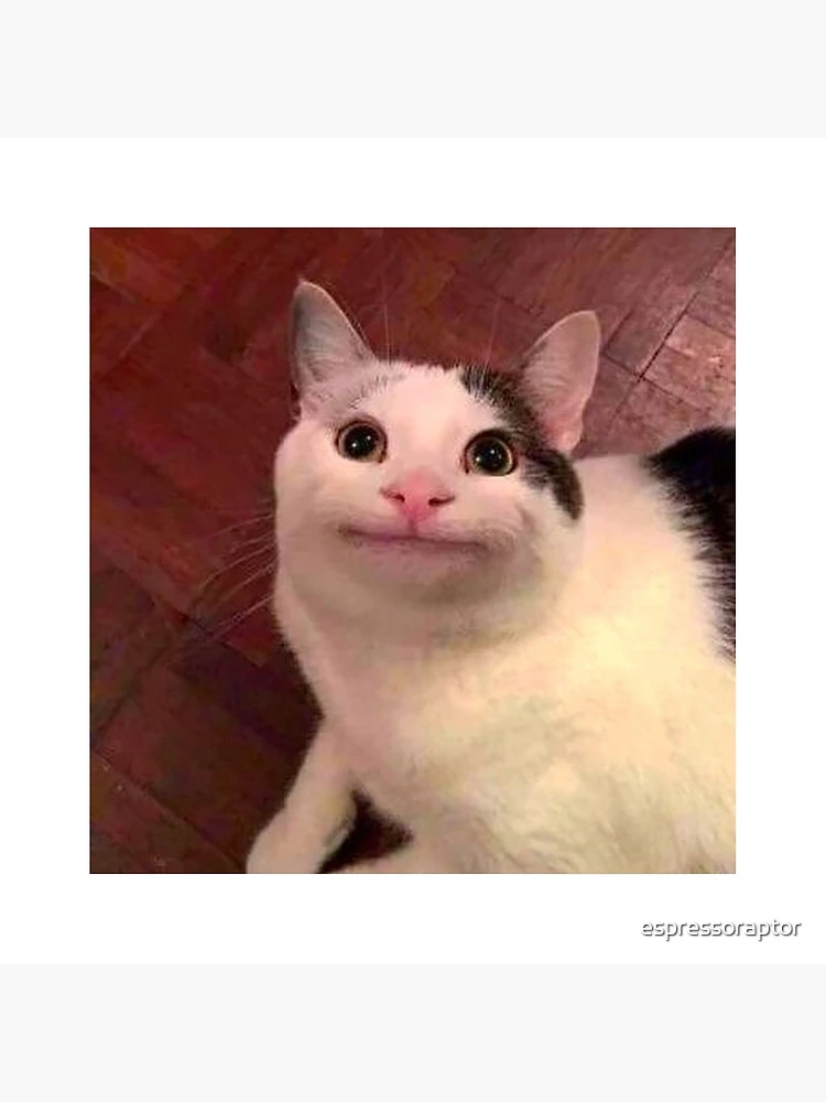 What the comment section of polite cat looks like : r/KidsAreFuckingStupid