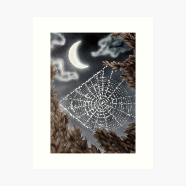 Cobweb Art Print