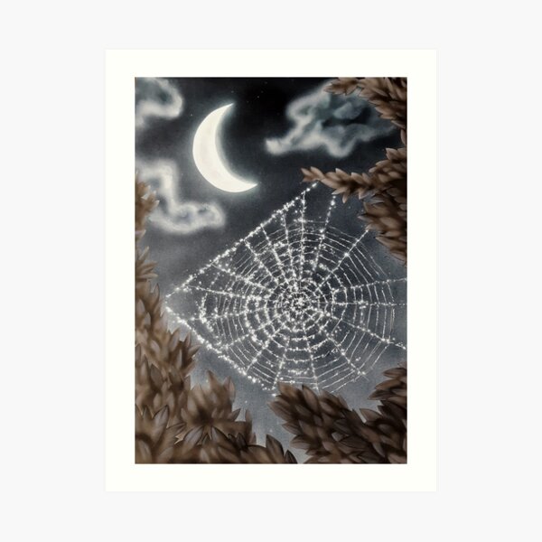 Cobweb Art Print