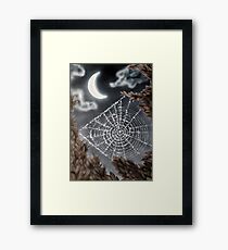 Cobweb Framed Print