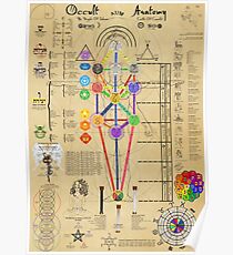 Okkulte Anatomie Poster