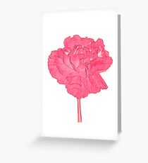 Red Carnation Greeting Card
