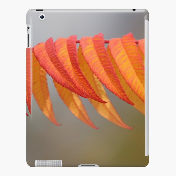 Herbstfarben iPad – Leichte Hülle