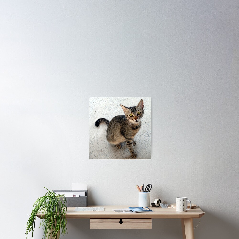 Item preview, Poster designed and sold by Rachem.