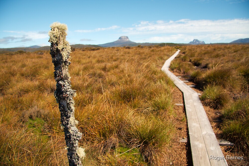 "Lake Windermere to New Pelion, Overland Track, Tasmania" by Roger