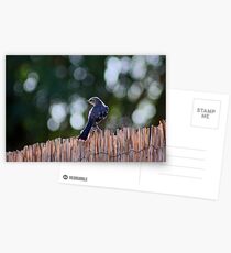 A Mockery Postcards