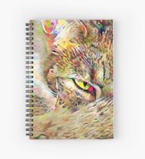 Mysterious Kitty Spiral Notebook