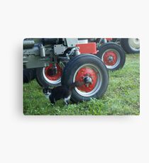Barn Cat - Western New York Metal Print