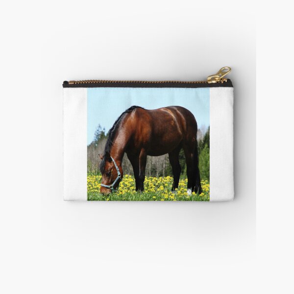 Item preview, 24.5.2015: Pony on Pasture designed and sold by Petri Volanen.