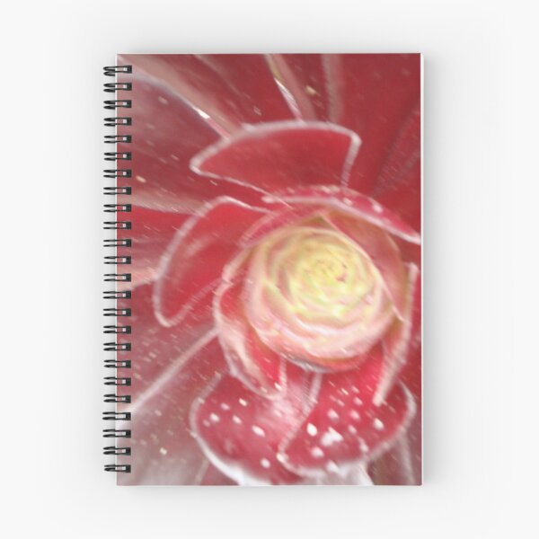 Item preview, Succulent Red Aeonium - Tresco Abbey Gardens, Scilly Isles  designed and sold by niki2028.