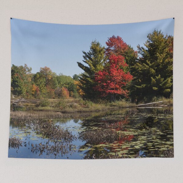 Item preview, Red Maple - Still Forest Lake in the Fall designed and sold by Georgia Mizuleva.