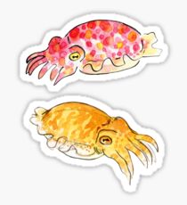 Cuttle Buddies Sticker