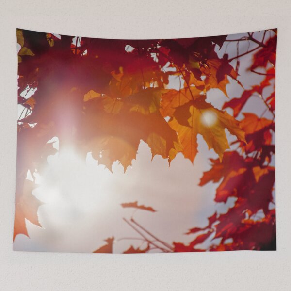Item preview, Red Autumn designed and sold by lab7115.