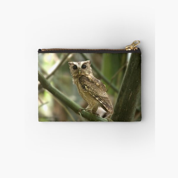 Item preview, Perched Owl designed and sold by billdill.