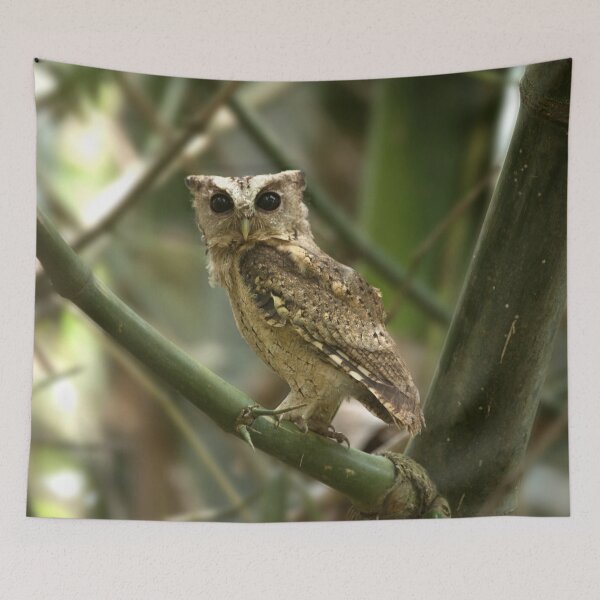 Item preview, Perched Owl designed and sold by billdill.