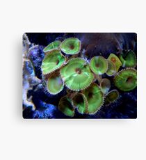 Water Flora ^ Canvas Print