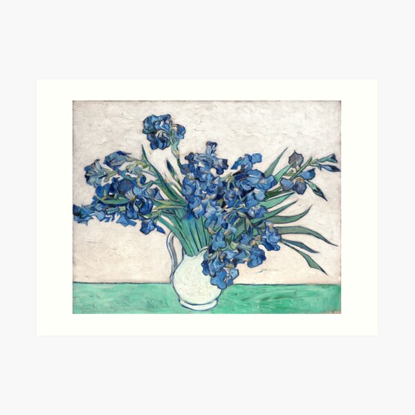 Irises - Vincent Van Gogh Art Print