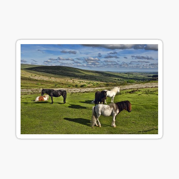 Item preview, Dartmoor Wild Ponies designed and sold by Avril Harris.