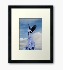 Crow Framed Print