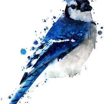  Watercolor blue stellar jay bird artistic animal watercolour T- Shirt : Clothing, Shoes & Jewelry