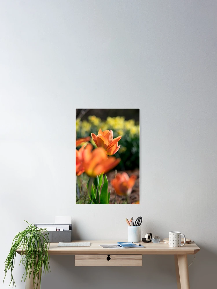 Thumbnail 2 of 3, Poster, First Spring Colors designed and sold by Kevgiambertone.