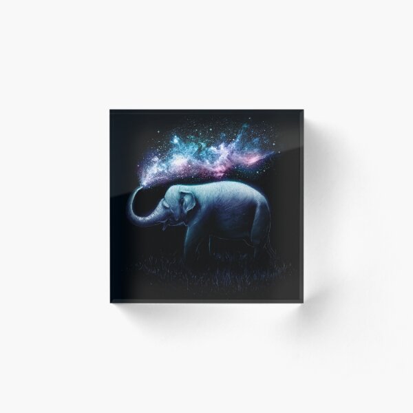 Elephant Splash Acrylic Block