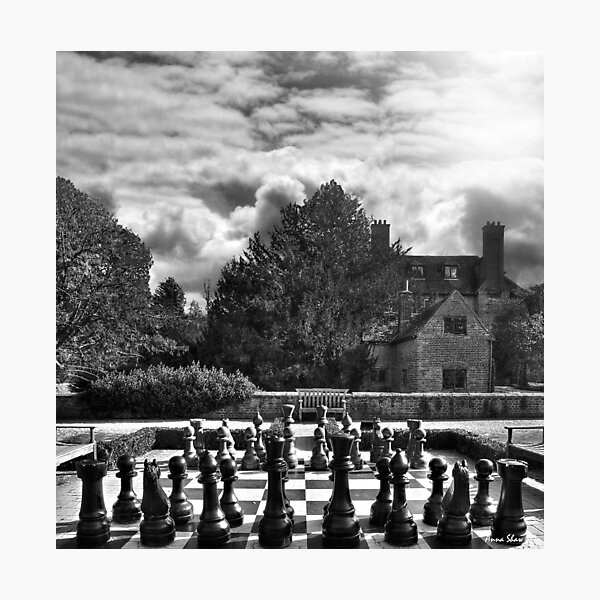 Groomsbridge Park B/W Photographic Print