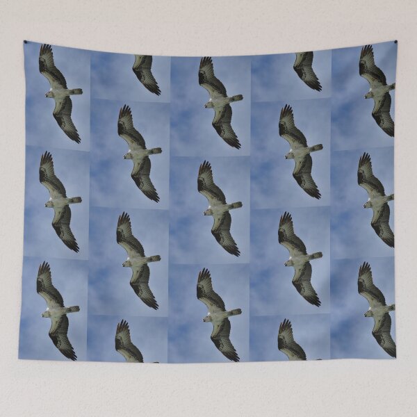 Item preview, Osprey in Flight designed and sold by Kim McClain Gregal.