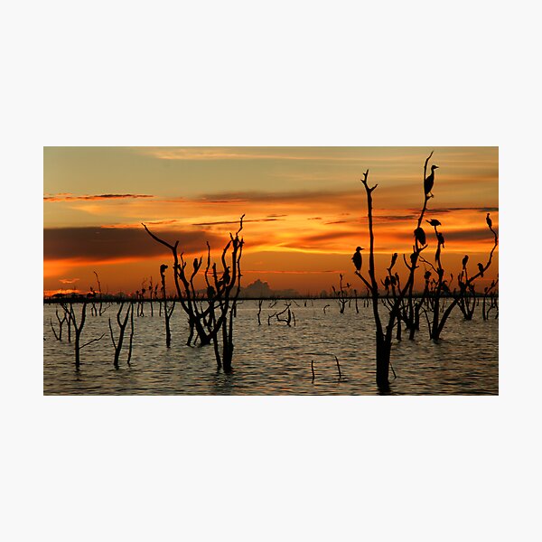 Kariba Sunset Photographic Print
