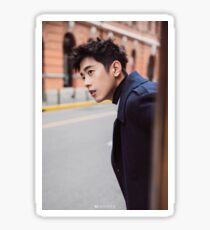 CONNOR LEONG Sticker