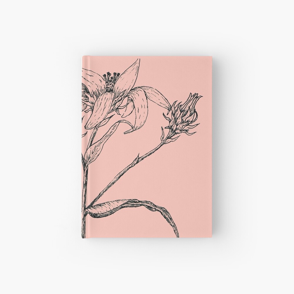 Dainty Pink Daisy by Kaleigh Day