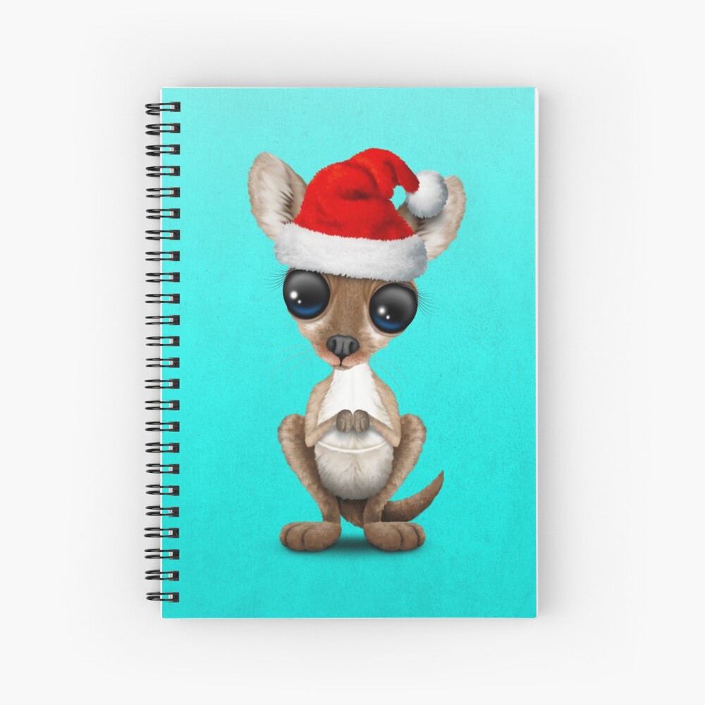 teal santa hat