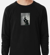 Sudadera ligera La fuente del ángel caído