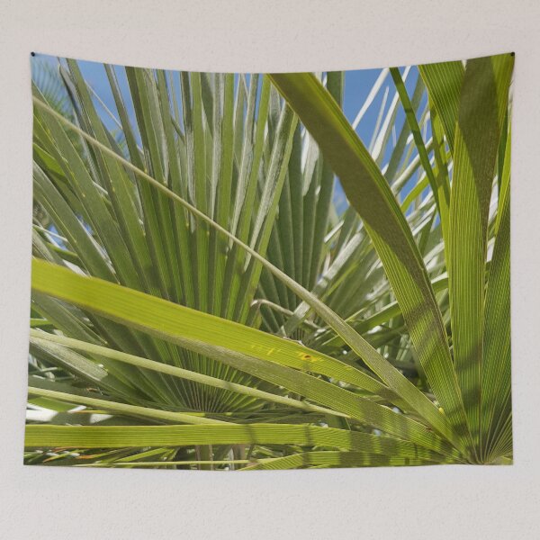 Item preview, Colours of Crete 3 - Green plant and blue sky designed and sold by ellenhenry.