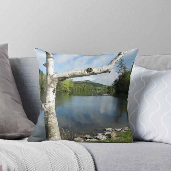 Item preview, Spring on Woodard Reservoir designed and sold by srwdesign.