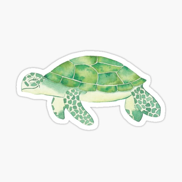 Turtle watercolor Sticker