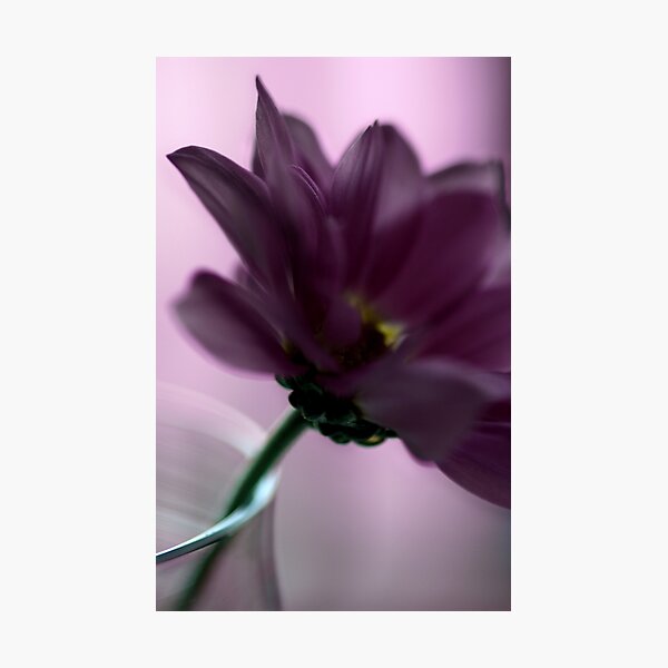 Item preview, Slender designed and sold by Laura Towersey.