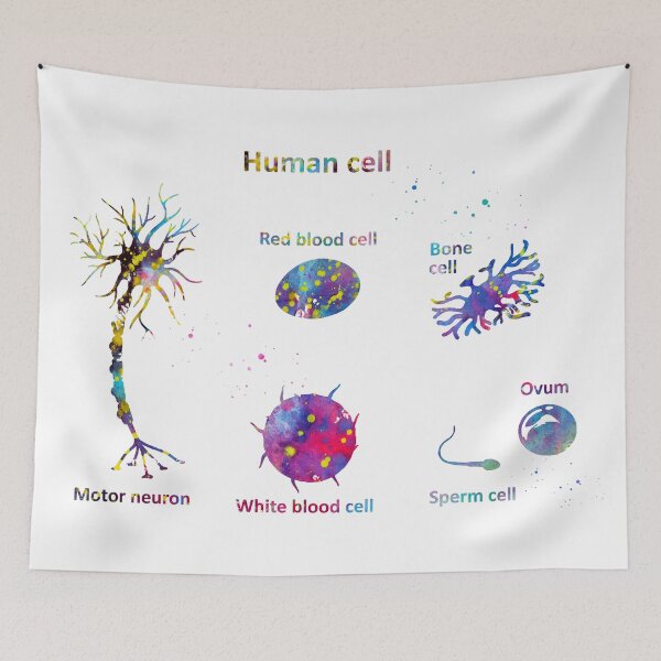 Item preview, Human cell designed and sold by Liededrom..