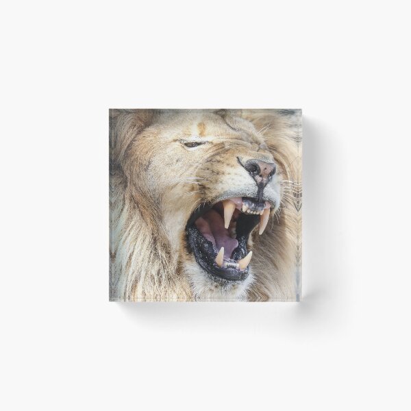 Item preview, Growling Lion designed and sold by Athena McKinzie.