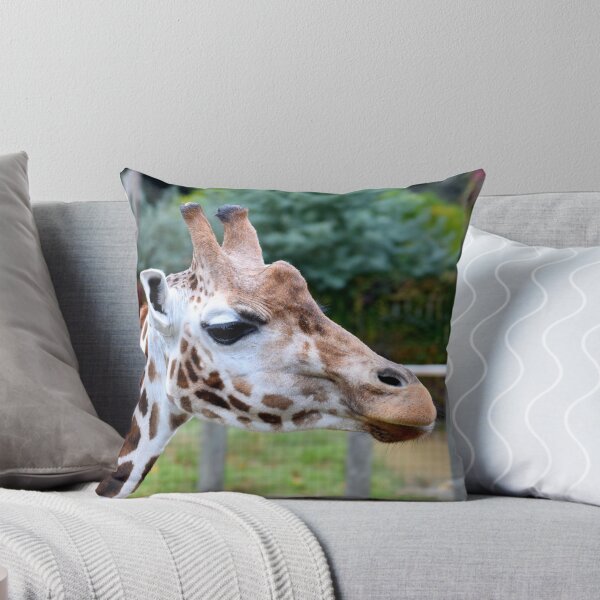 Item preview, Baby giraffe designed and sold by SteveHarris123.