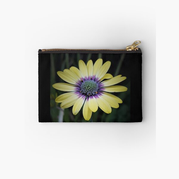 Item preview, Pretty As A Picture designed and sold by DesJardins.