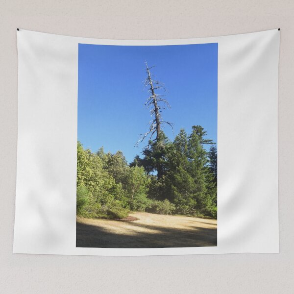 Item preview, Dead Redwood on Hwy 101, Leggett, California designed and sold by Mike Kunes.