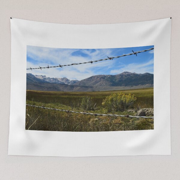 Item preview, Pasture in Bridgeport, California designed and sold by Mike Kunes.