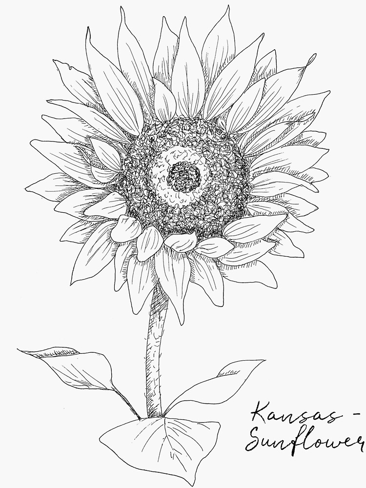 "Sunflower Kansas State Flower by Journey Home Made" Sticker for Sale 