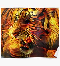 Tiger Poster