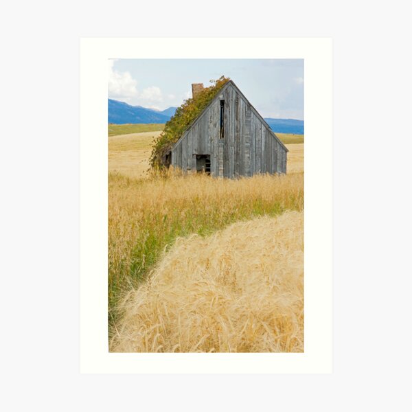 Broke Down Beauty, a.k.a. the Butt of the Barn Art Print