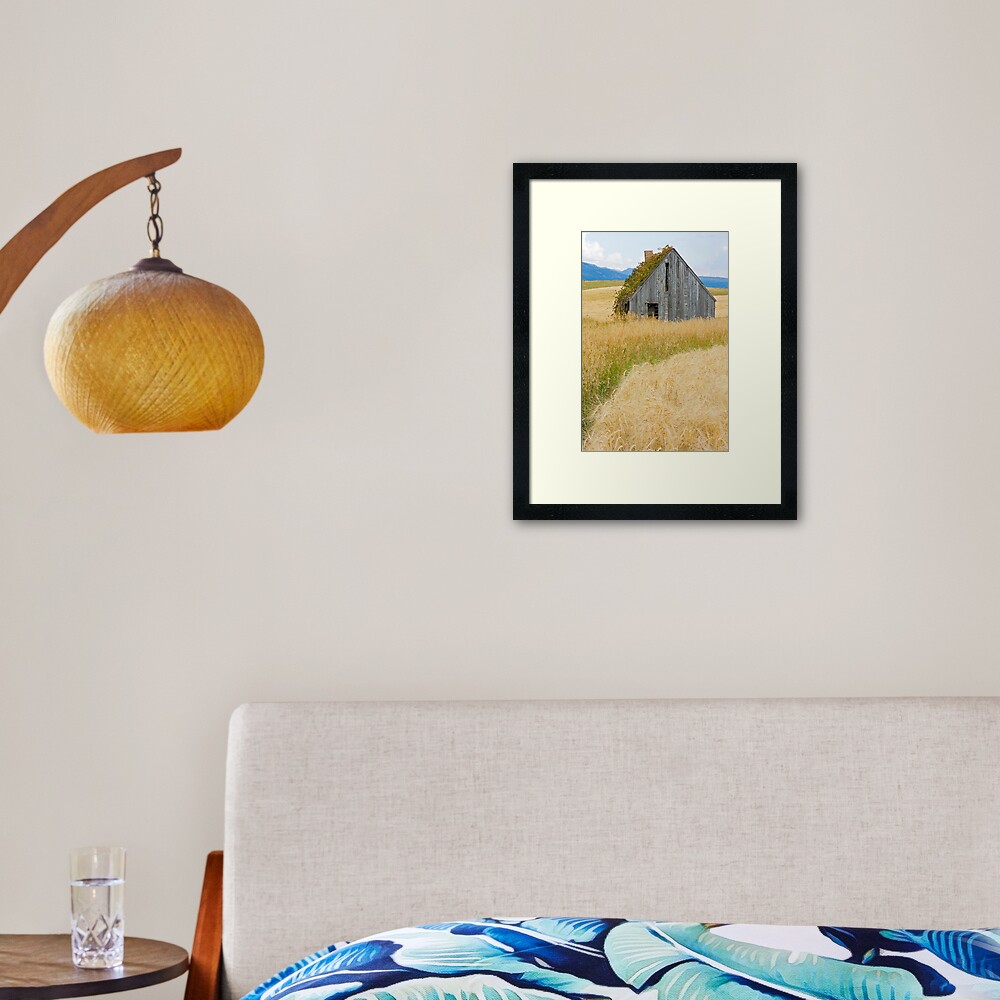 Broke Down Beauty, a.k.a. the Butt of the Barn Framed Art Print