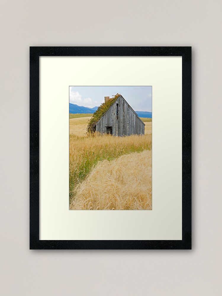 Alternate view of Broke Down Beauty, a.k.a. the Butt of the Barn Framed Art Print