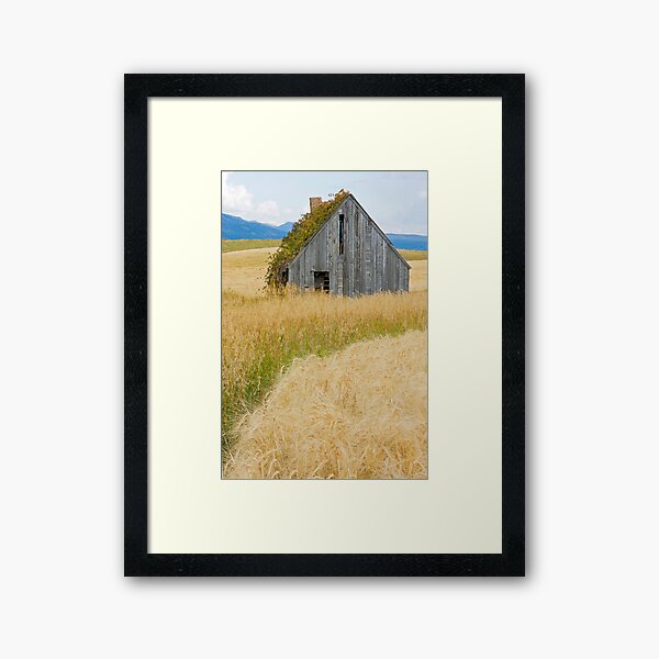 Broke Down Beauty, a.k.a. the Butt of the Barn Framed Art Print