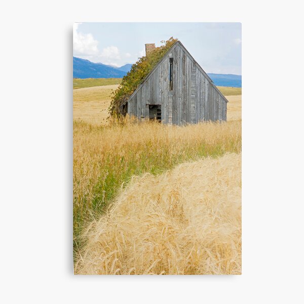 Broke Down Beauty, a.k.a. the Butt of the Barn Metal Print